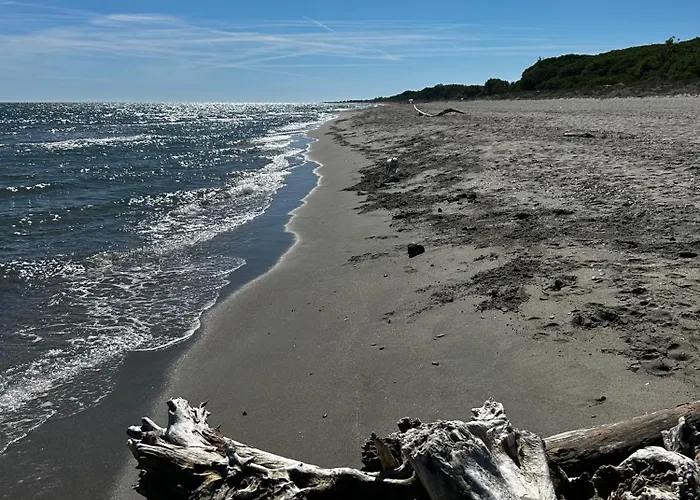 Holiday home Maison 5 Min De La Et A Pieds, Tt Confort Poggio Mezzana